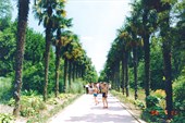 Никитский ботанический сад, пос. Никита